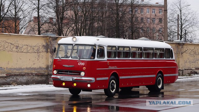 Ikarus 55 Lux "Сигара". Восставший красавчик