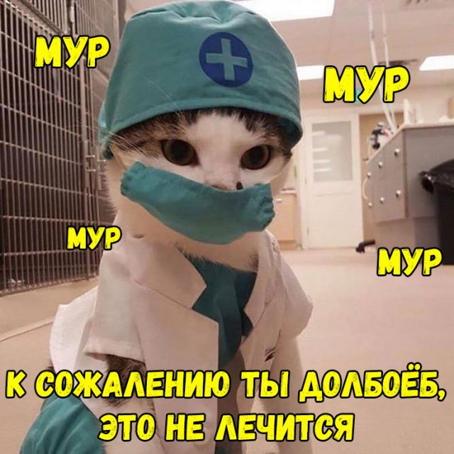 Армейский юмор, суровый и беспощадный