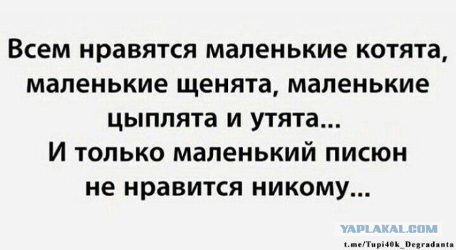 Смешные комментарии из социальных сетей 20.07.2018