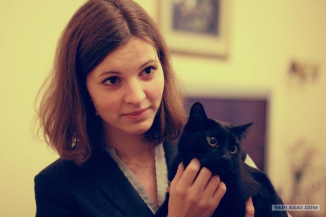 Котовторник 1.11.11
