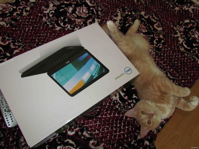 Котовторник  19.06.2012