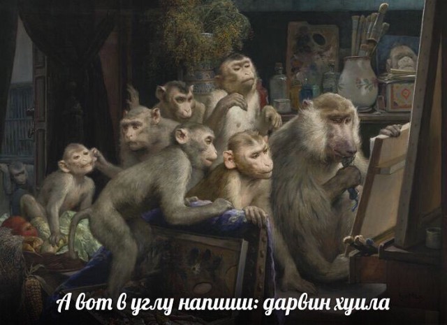 Каковы доказательства теории эволюции?
