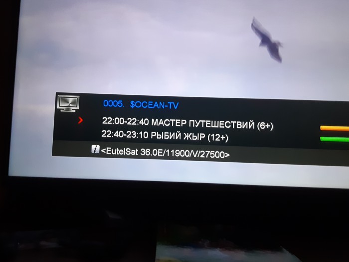 Нижегородская "Училка" разнесла ведущих за безграмотность