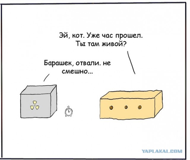 Это стоит увидеть хотя бы раз в жизни