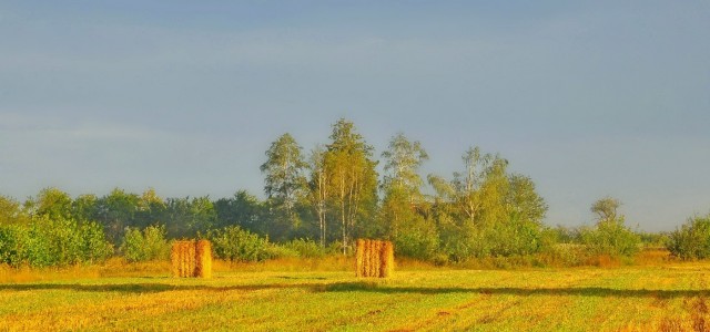 Август в деревне