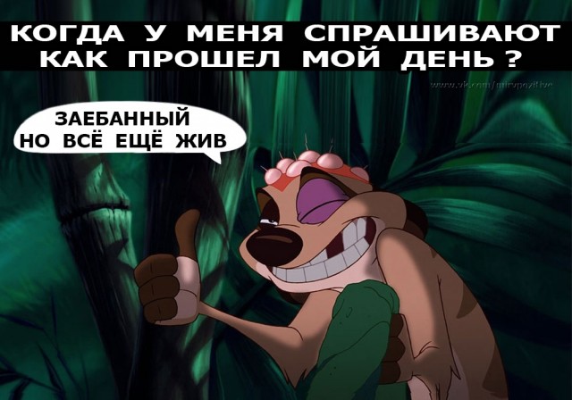 Картинки с надписями и анекдоты 17.09.19