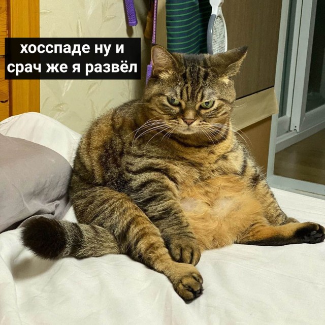 Каждое. "Доброе". Утро