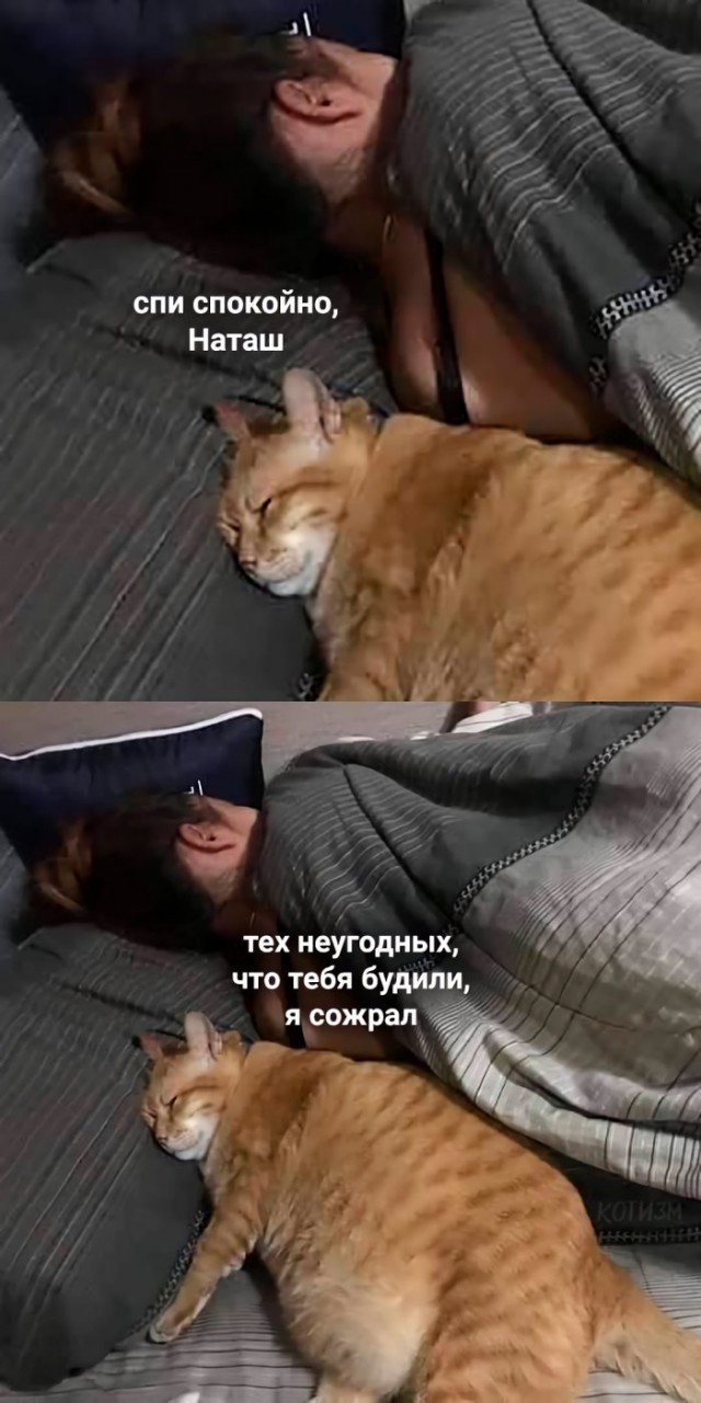Немного картинок для настроения 16.05.20