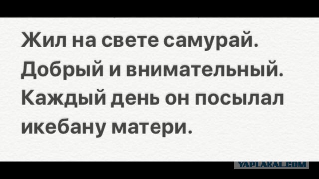Немного картинок для настроения 01.06.20