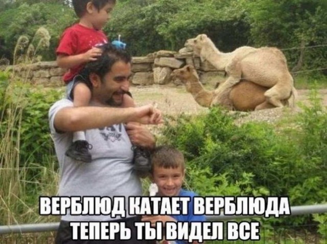 Немного упоротых картинок