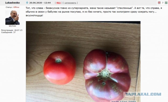 В этом мире ещё так много интересного