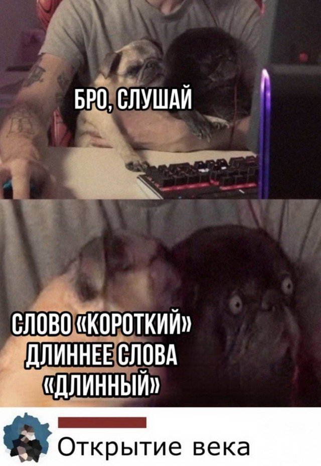 Картинки всякие 30.11.2020