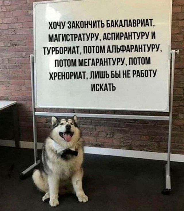 Кретинизмы от KV и KO 28.01.2021