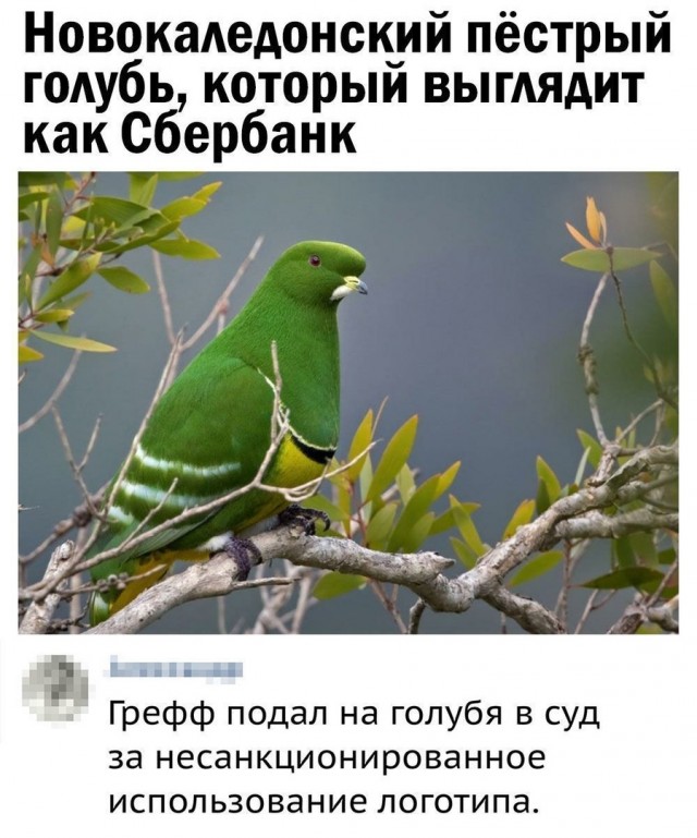 Так себе картинки 13.03.21