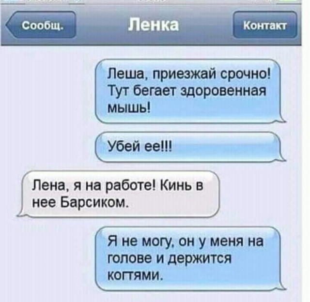 Пятница. И немного слегка пошлых картинок с надписями и без 16+ (26.03))