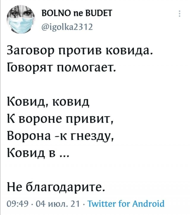 15708135.jpg