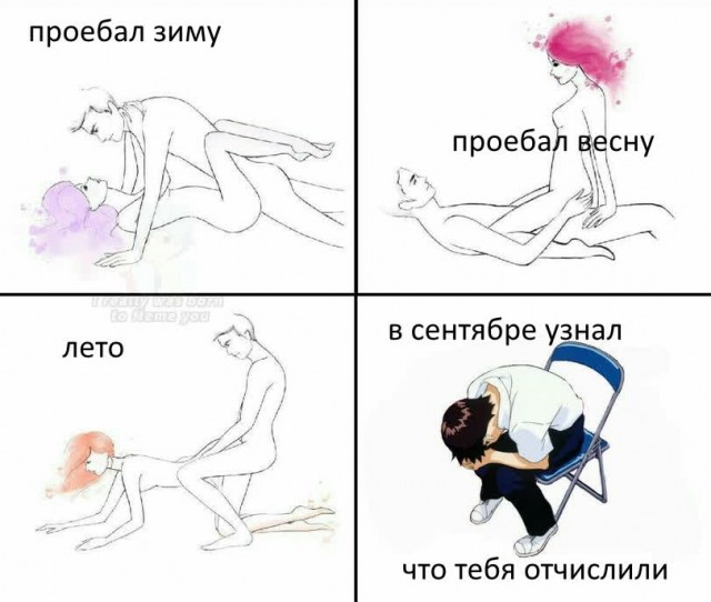 Весёлый полтишок 8.08