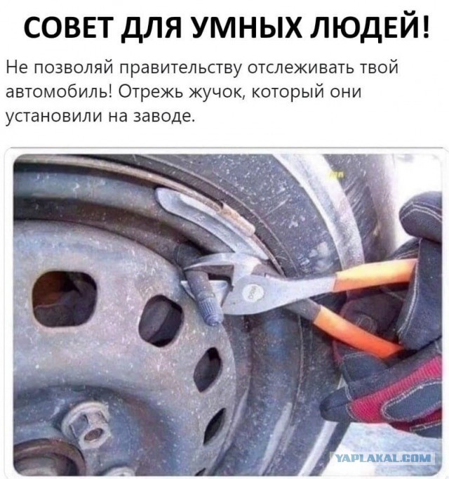 Скручивают коппачки. Как бороться?