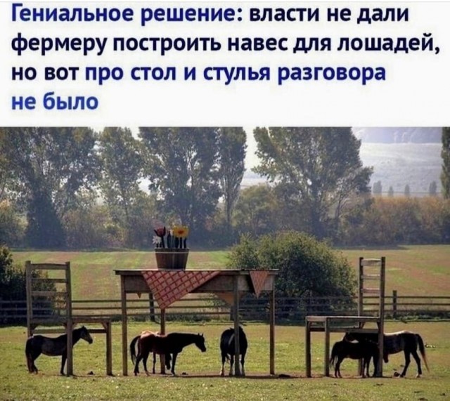 Так себе картинки 04.11.21