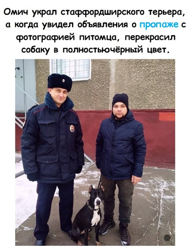 Всяческие картинки
