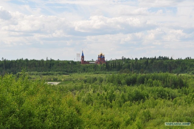 Мои фоты