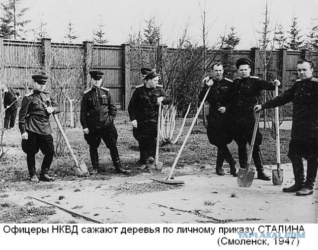 К мемориалу «Катынь» под Смоленском пригнали строительную технику.