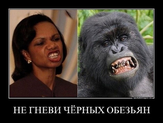 «Почему опять ловишь эту обезьяну?»