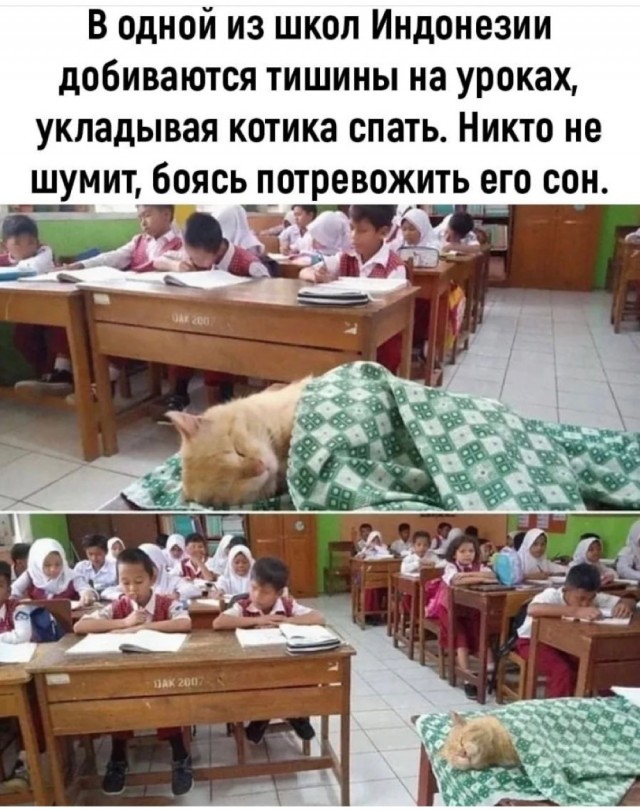 40 картинок разных 24.05.2022