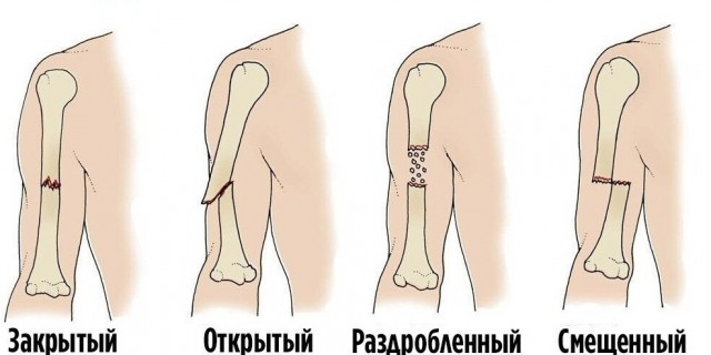 19 важных, нужных и познавательных шпаргалок, которые могут пригодиться в жизни