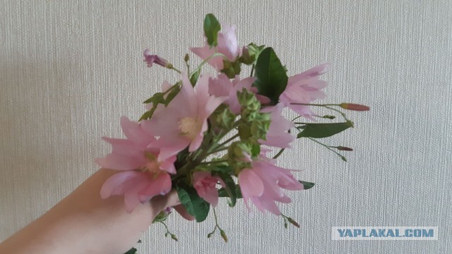 «Устал быть нянькой для здоровой женщины»: откровения нашего читателя, который бросил жену-красавицу и ушел в никуда