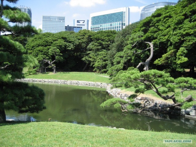 Далёкая Япония