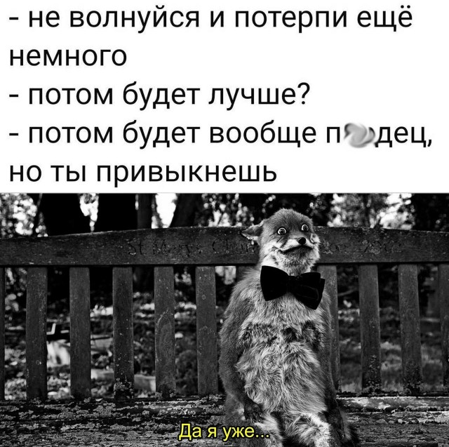 Немного мемчиков. Для взрослых. Часть 21