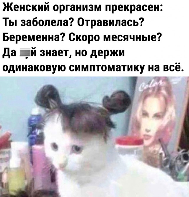 Так себе картинки 17.11.22