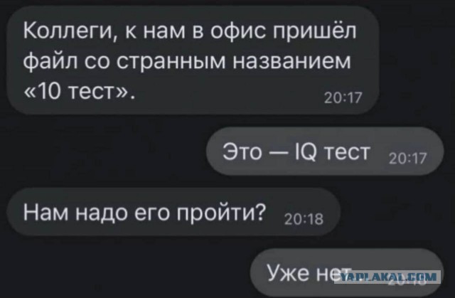 Весёлый полтишок 18.11.22