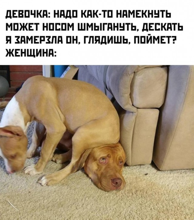Картинки и мемы для настроения - 123