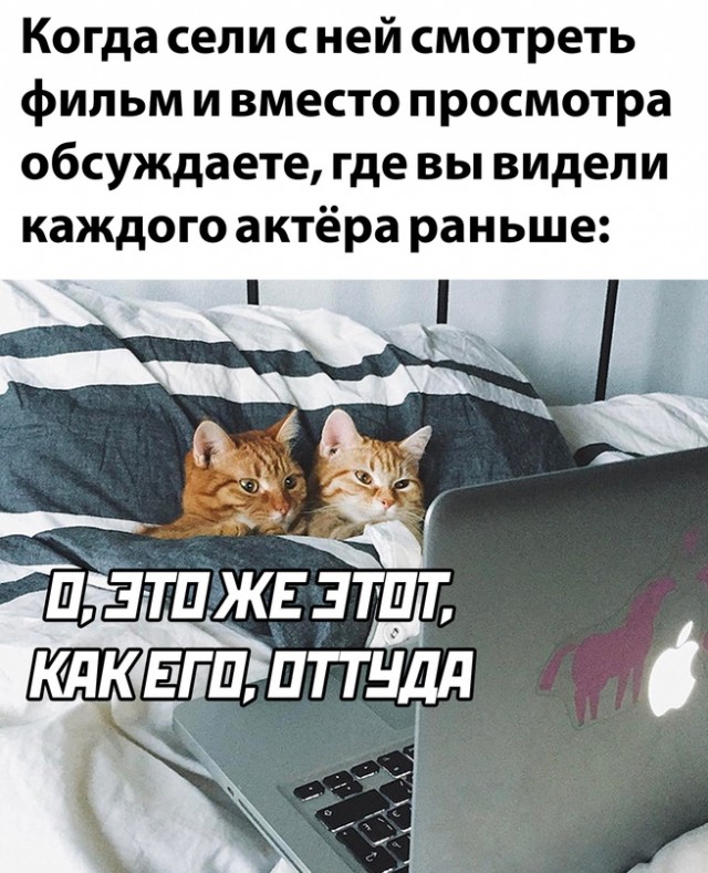 Картинки и мемы для настроения - 125