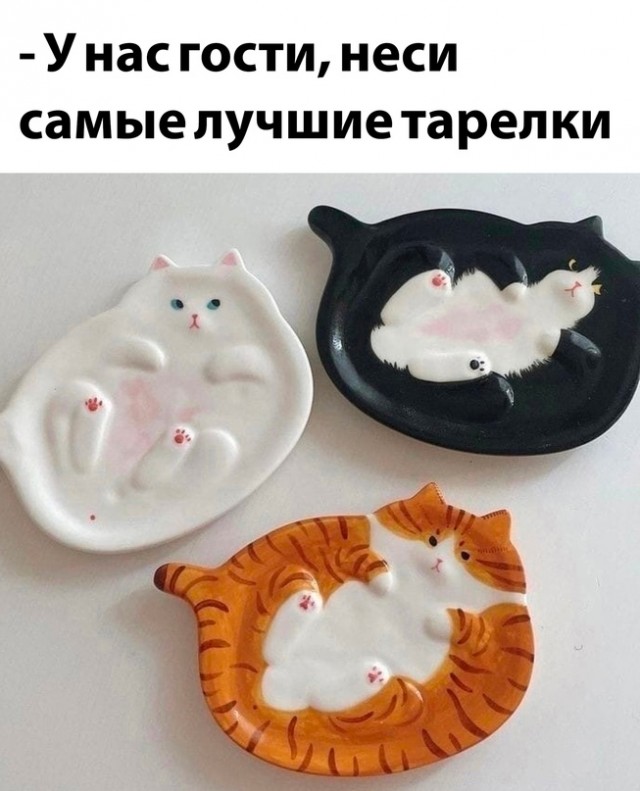Весёлый полтишок 09.01.23