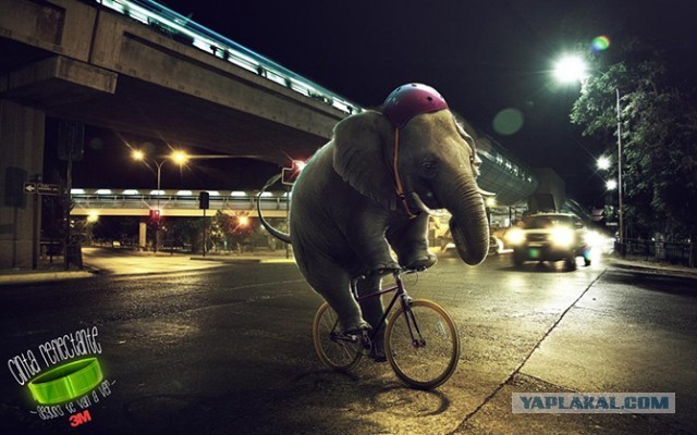 Оставьте свои заботы позади