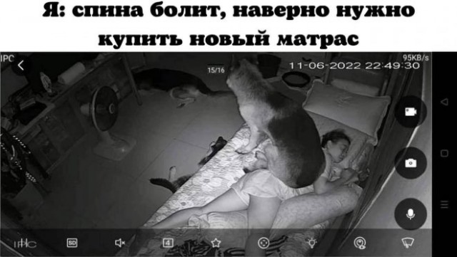 Картинки и мемы для настроения - 137