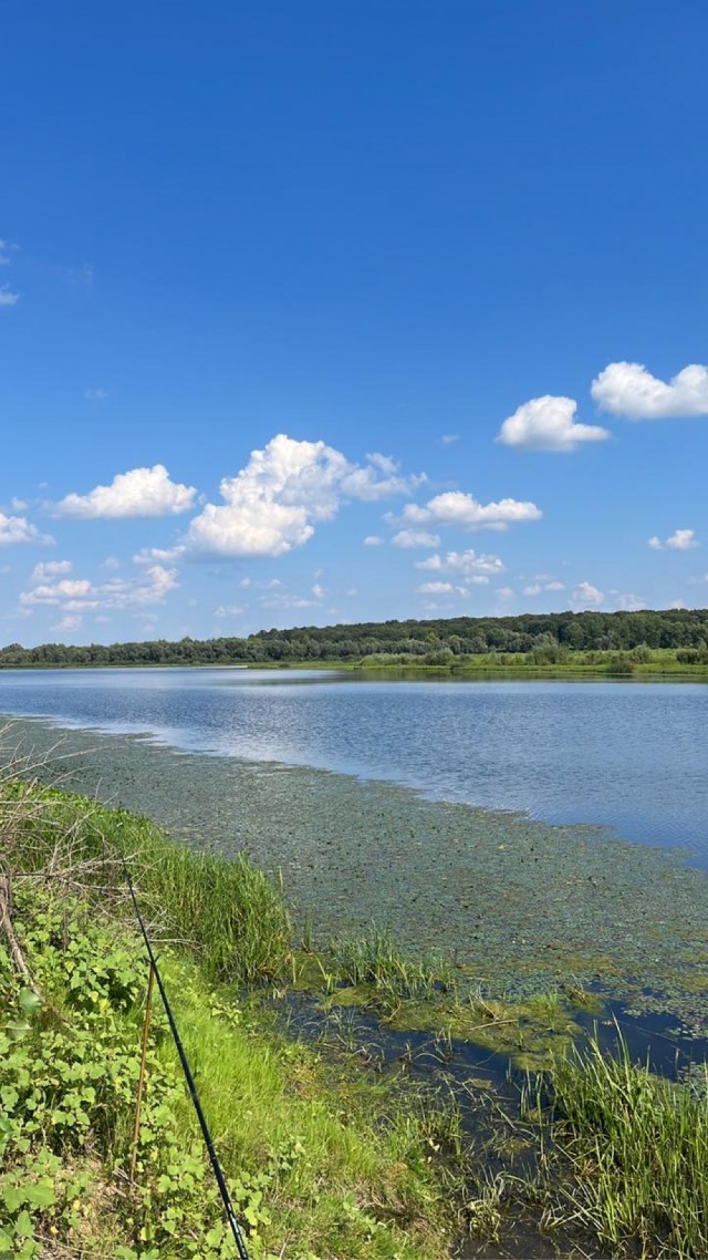 Рыбалка