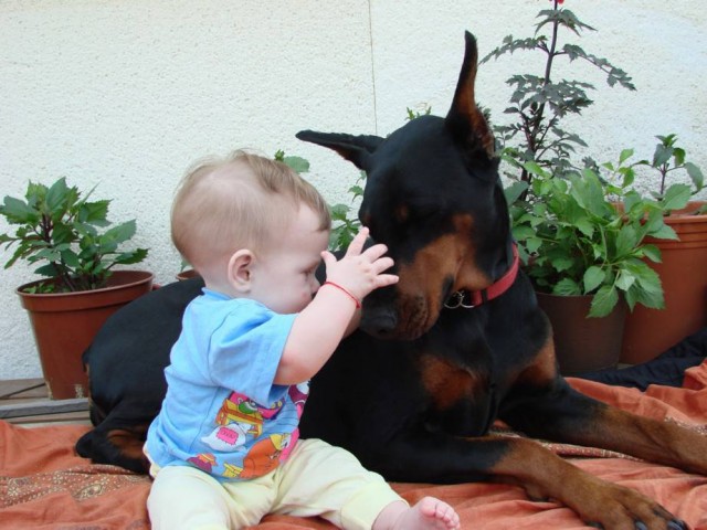 Няшность и ...