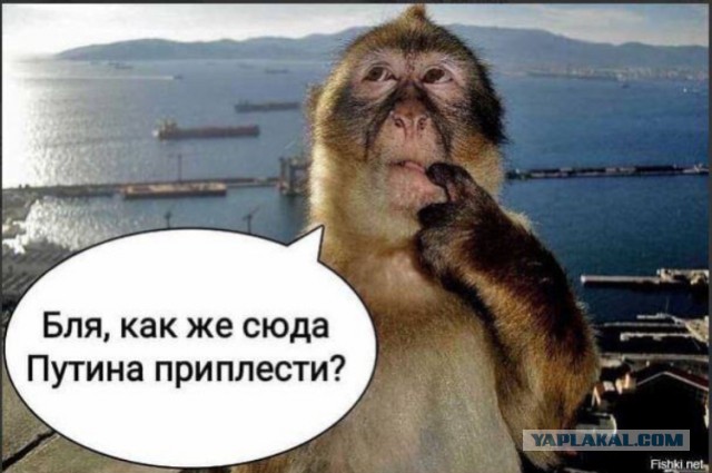 Отстоявшая 59 часов за билетами в Большой театр россиянка высказалась об очереди