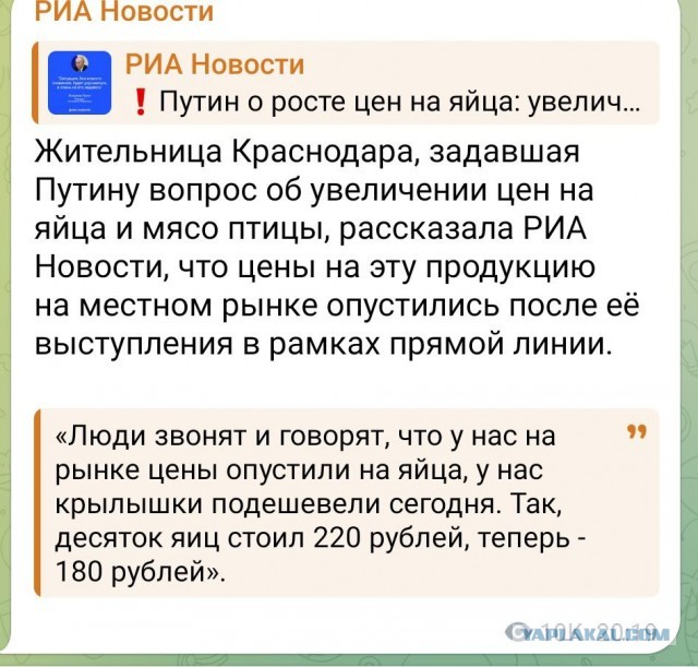 Прямая линия Владимира Путина 14 декабря 2023 года: онлайн-трансляция