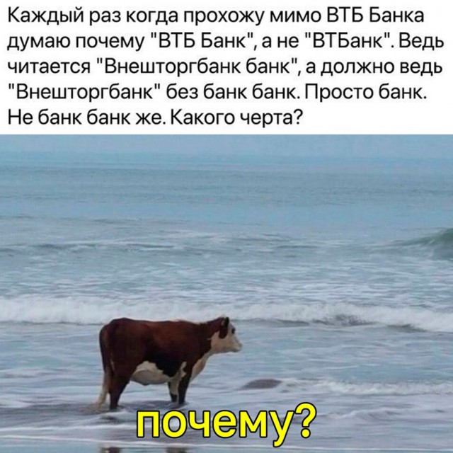 Весёлый полтишок 18.12.2023