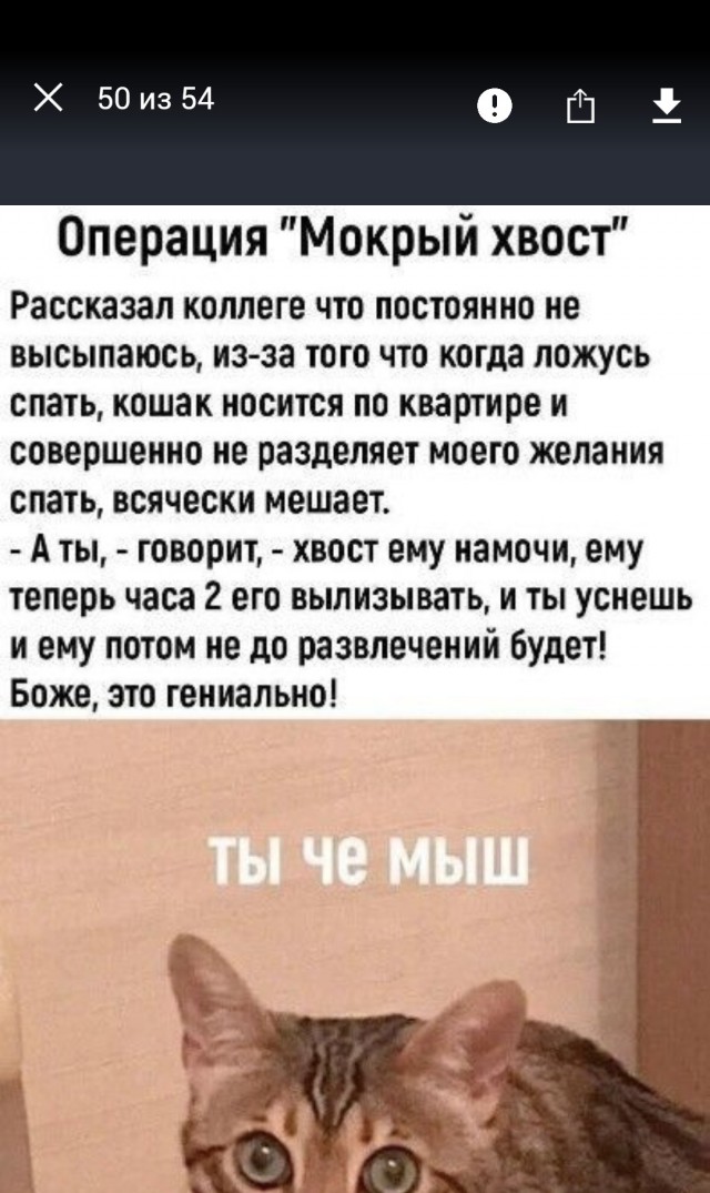 Юмор в картинках и без