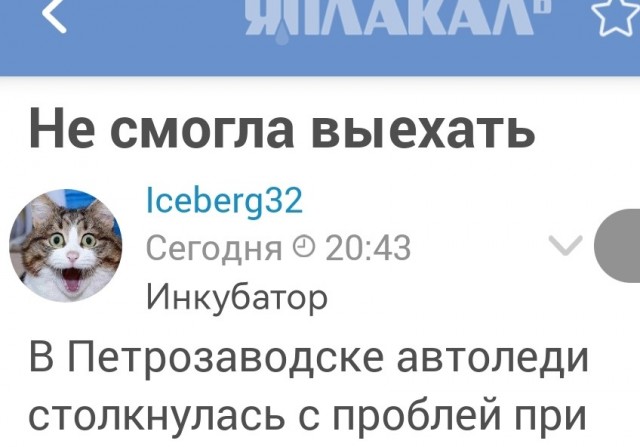 Не смогла выехать