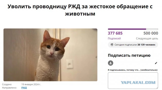 Проводник, высадившая кота Твикса, временно отстранена от работы