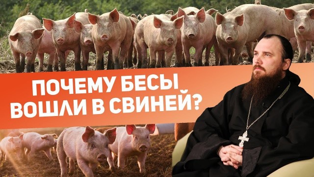 Грустно, но вкусно