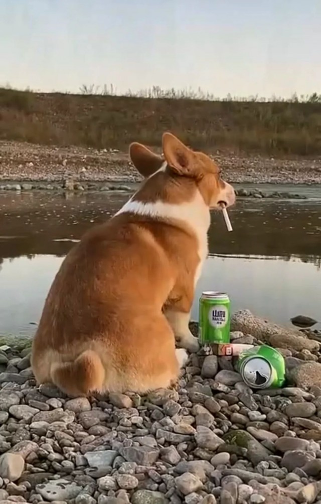 ФотоВинегрет