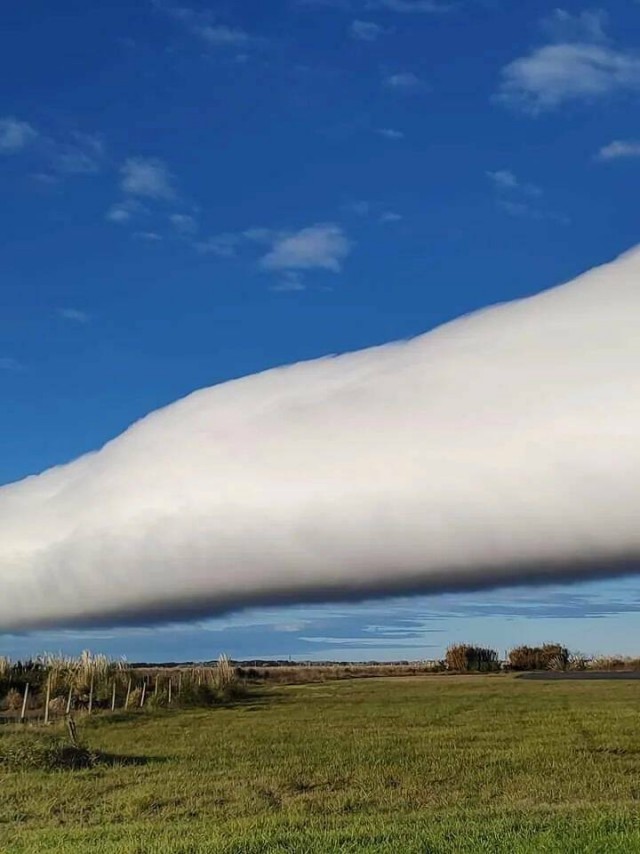 ФотоВинегрет